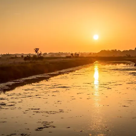 Oceanide, Face Appartement *