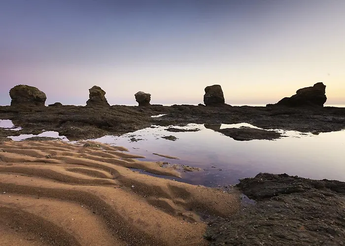 Oceanide, Face Appartement